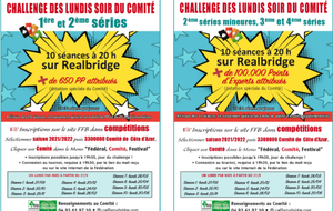 challenge du comité 1&amp;2 série  et    3&amp;4 série seance 3  sur realbridge (copie)