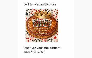 Tournoi 'Galette des Rois' au Bicolore